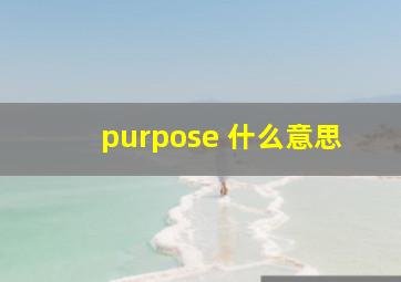 purpose 什么意思